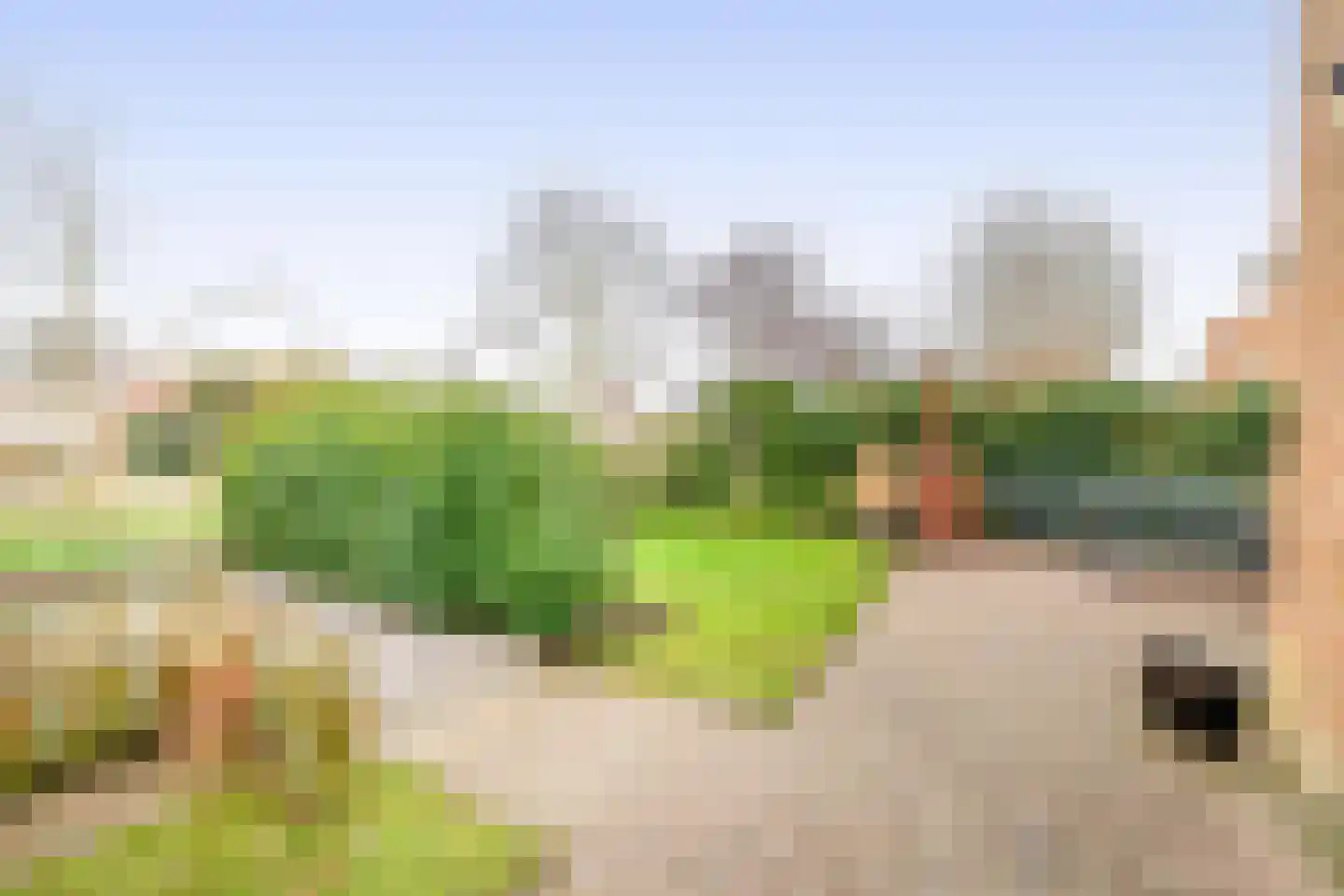 Hollands Hoen 78 Schagerbrug thumbnail 34