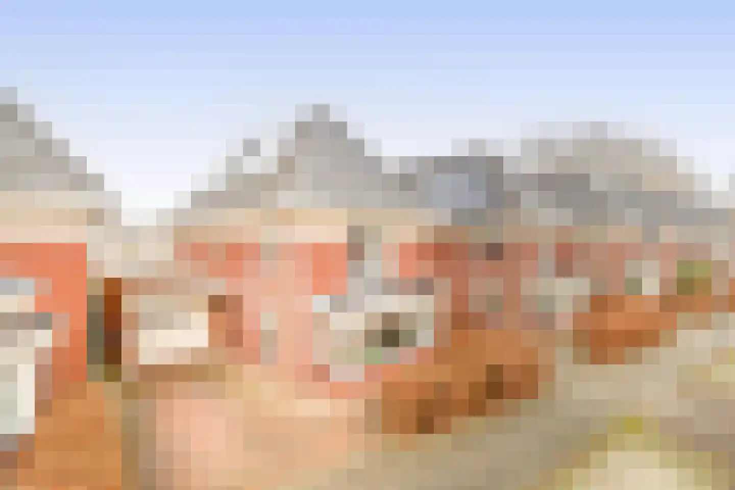 Hollands Hoen 78 Schagerbrug thumbnail 4