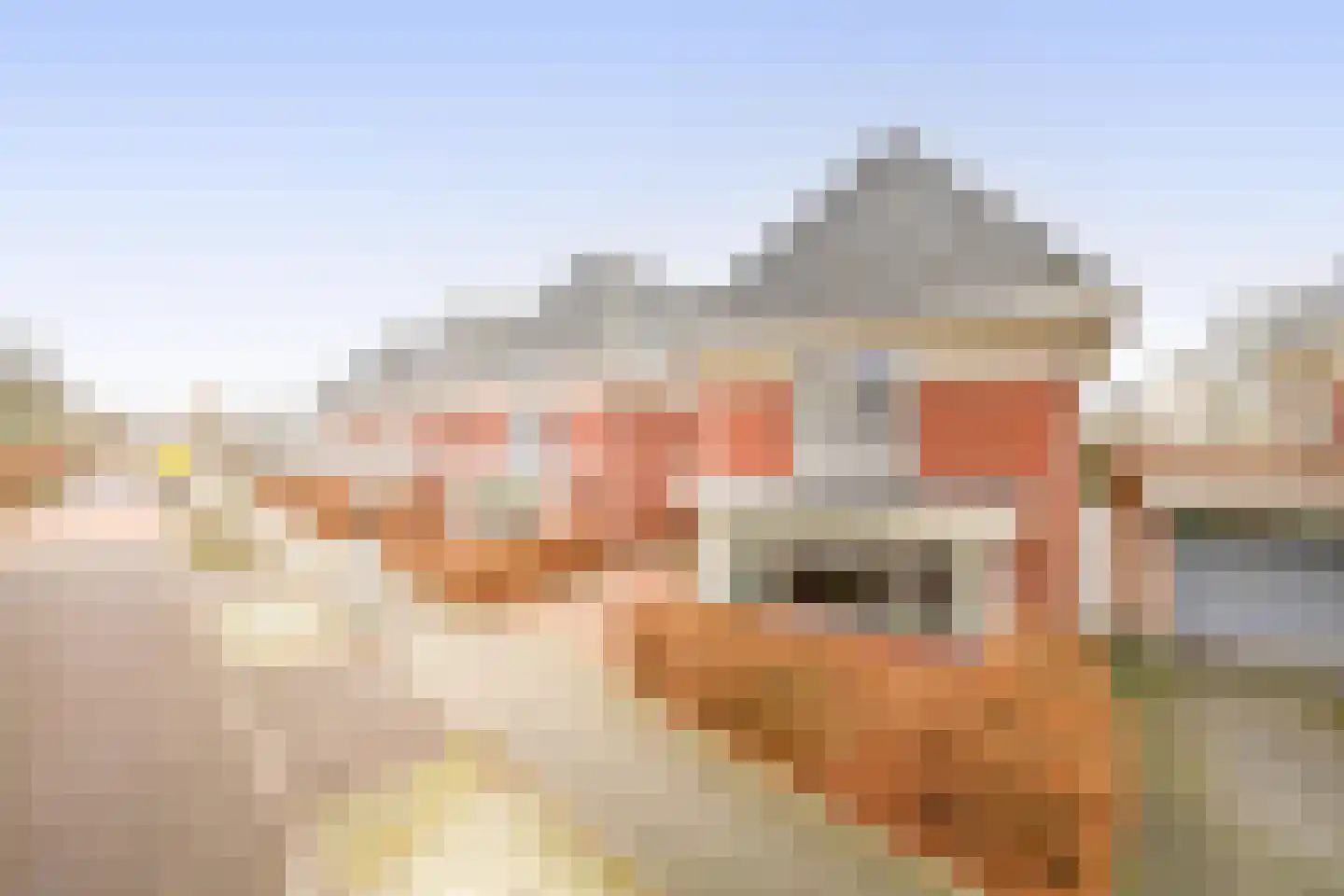 Hollands Hoen 78 Schagerbrug thumbnail 5