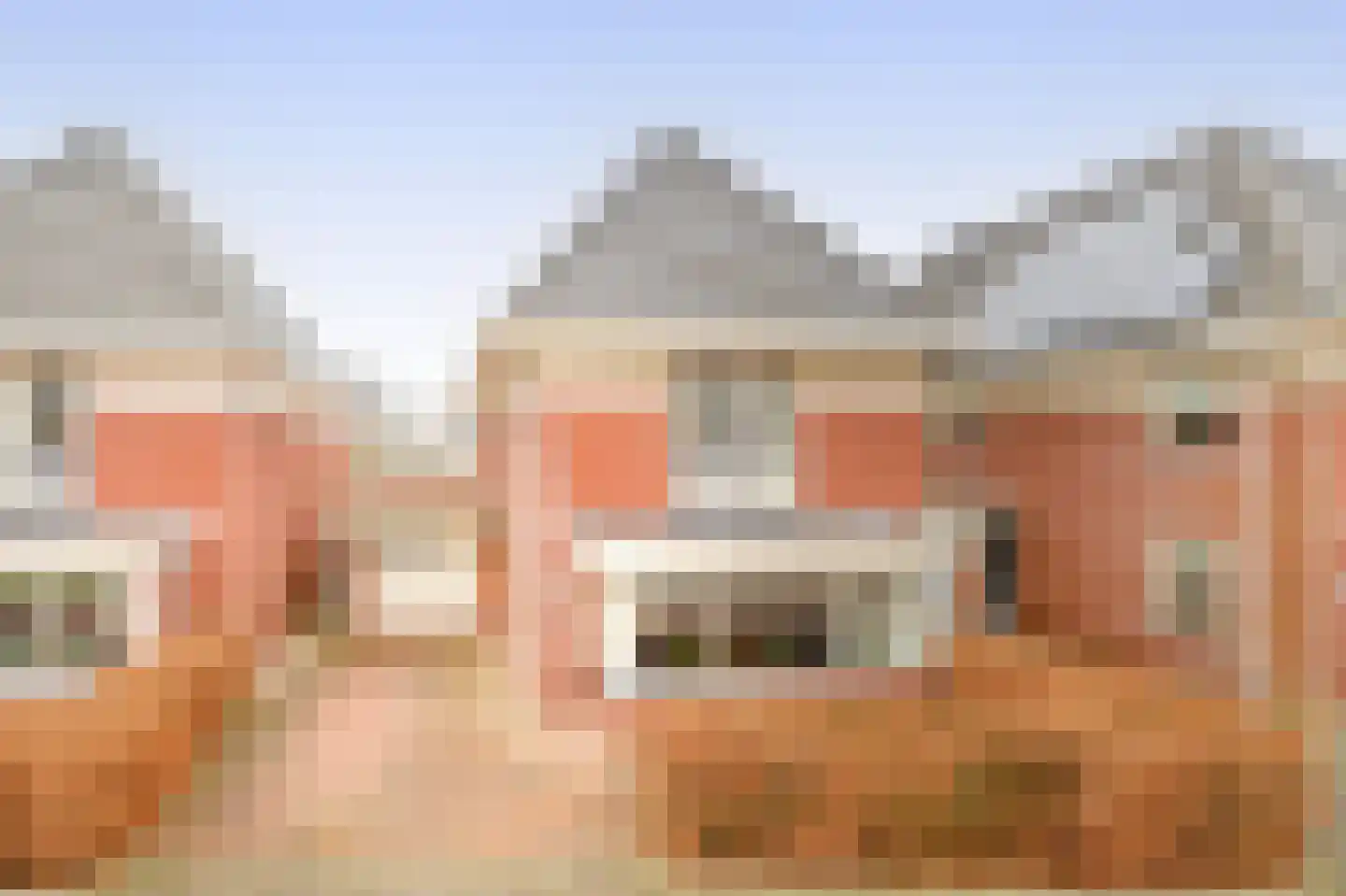 Hollands Hoen 78 Schagerbrug thumbnail 8
