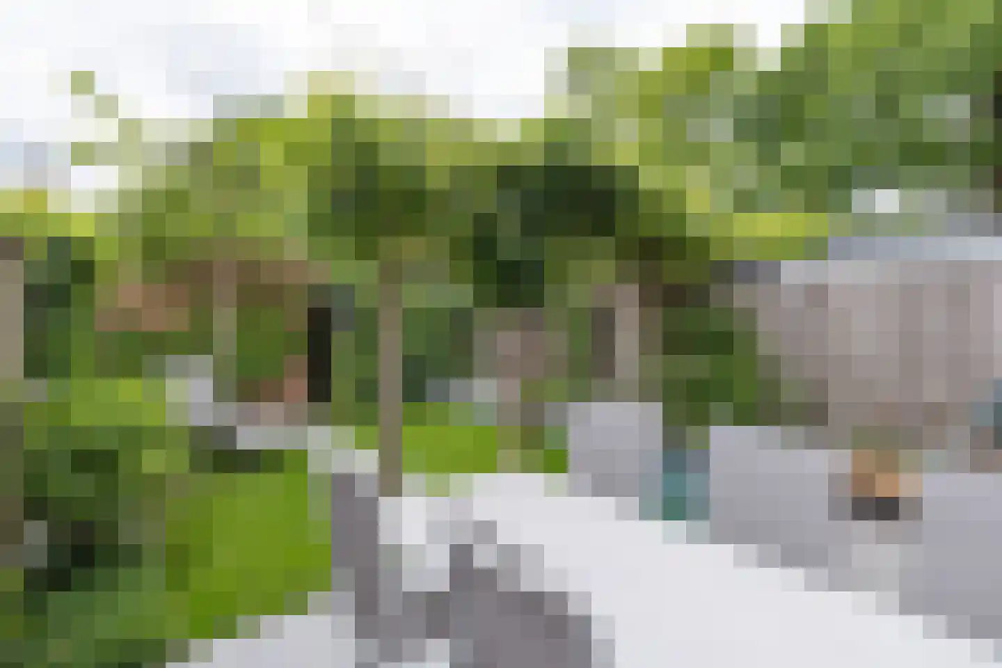 Hollands Hoenlaan 15 Barneveld thumbnail 37