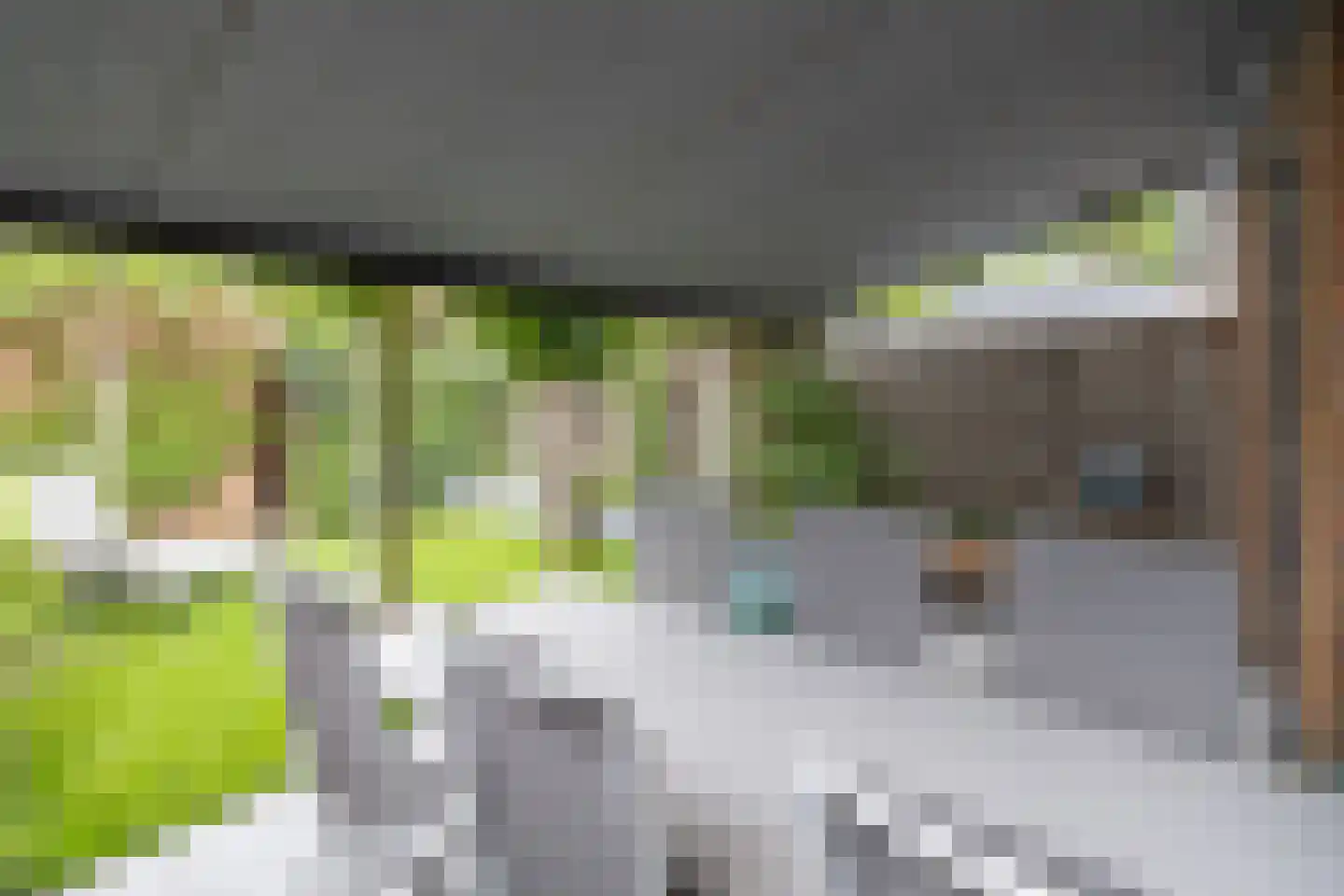 Hollands Hoenlaan 15 Barneveld thumbnail 41