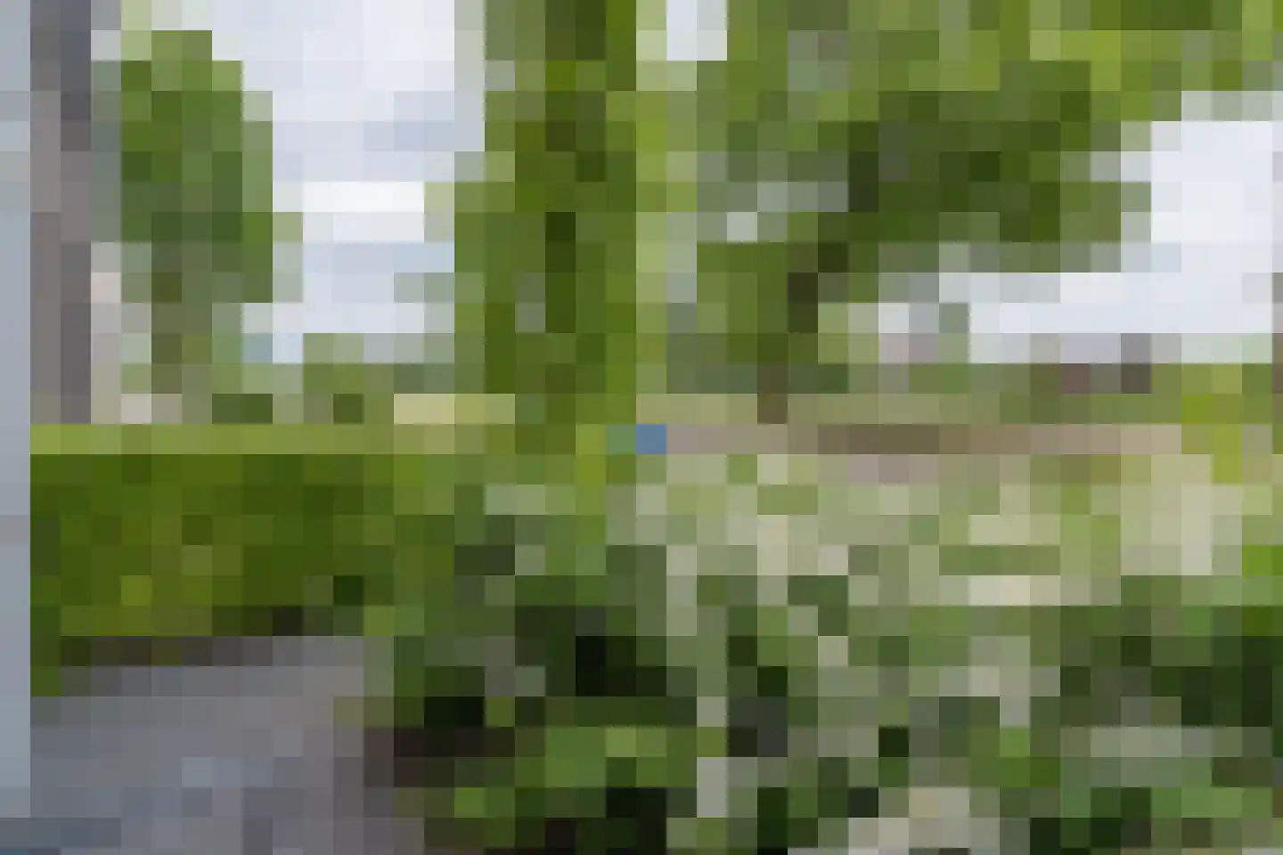 Hollands Hoenlaan 15 Barneveld thumbnail 44