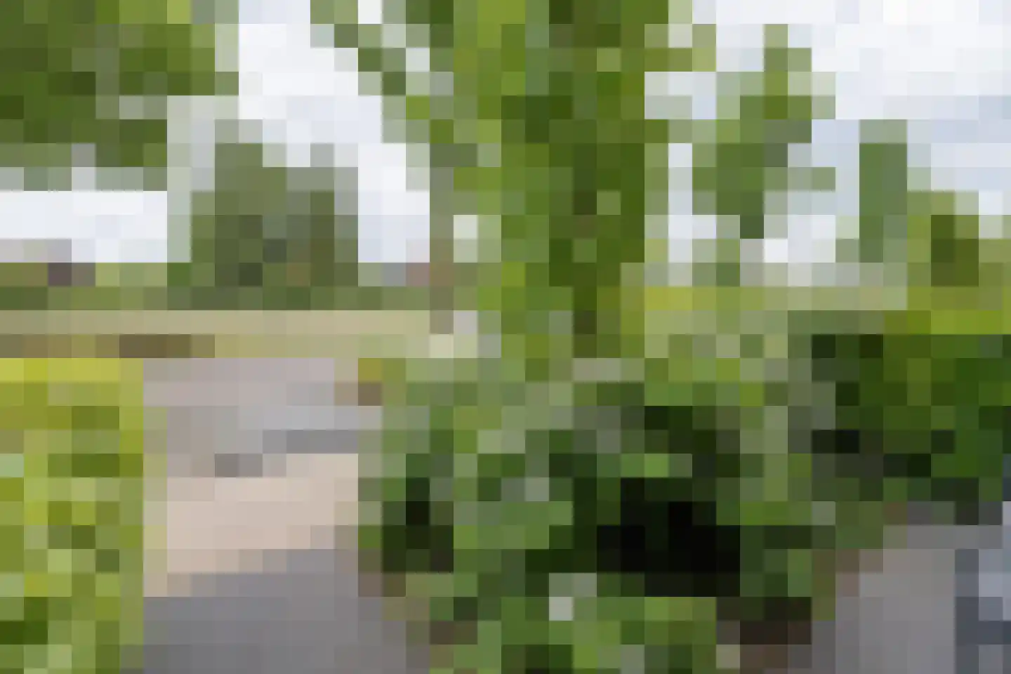 Hollands Hoenlaan 15 Barneveld thumbnail 45