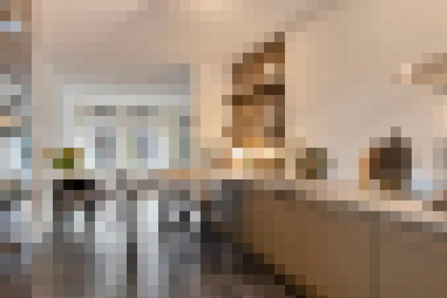 Hollands Hoenlaan 47 Barneveld thumbnail 13