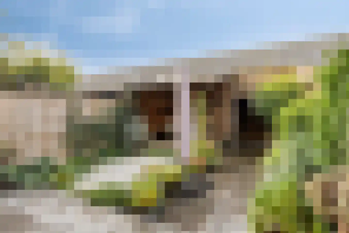Hollands Hoenlaan 47 Barneveld thumbnail 31