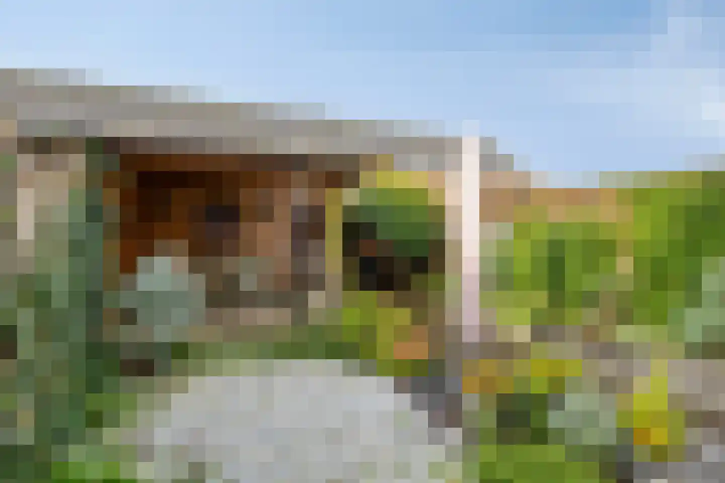 Hollands Hoenlaan 47 Barneveld thumbnail 32