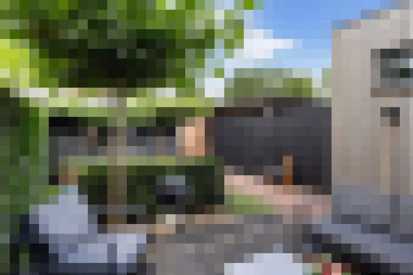 Hollands Hoenlaan 65 Barneveld thumbnail 33