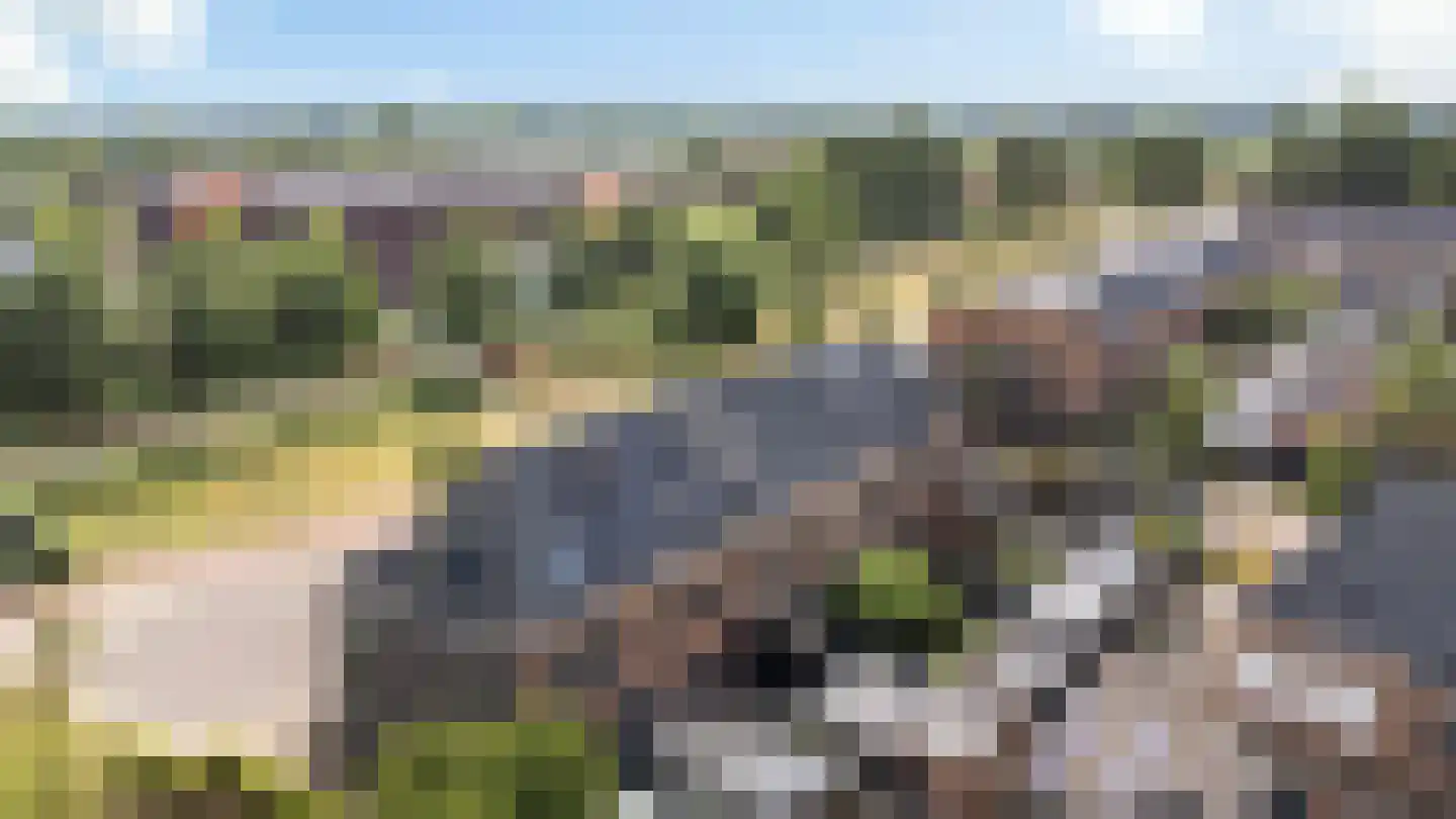 Hollands Hoenlaan 65 Barneveld thumbnail 38