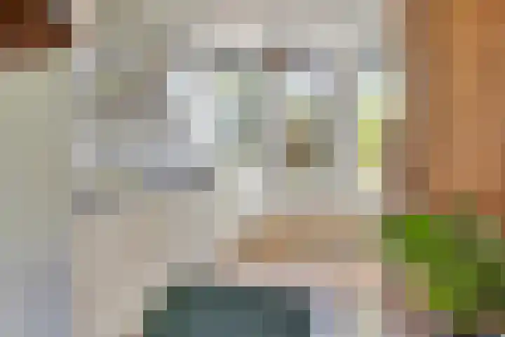 Hollands Hoenlaan 7 Barneveld thumbnail 11