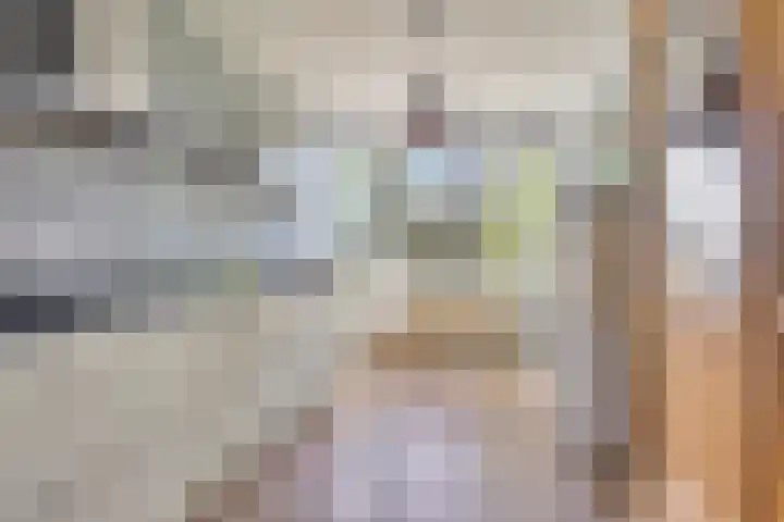 Hollands Hoenlaan 7 Barneveld thumbnail 12