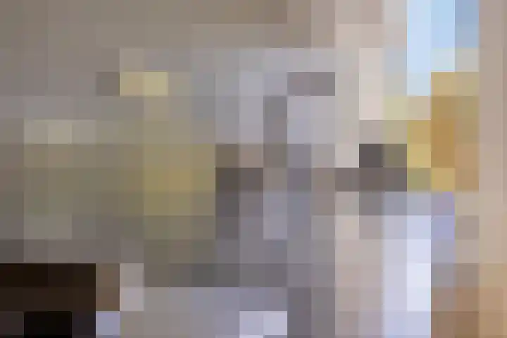 Hollands Hoenlaan 7 Barneveld thumbnail 13