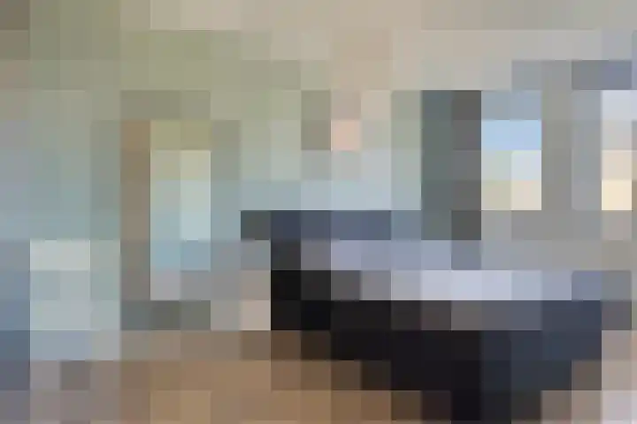 Hollands Hoenlaan 7 Barneveld thumbnail 16