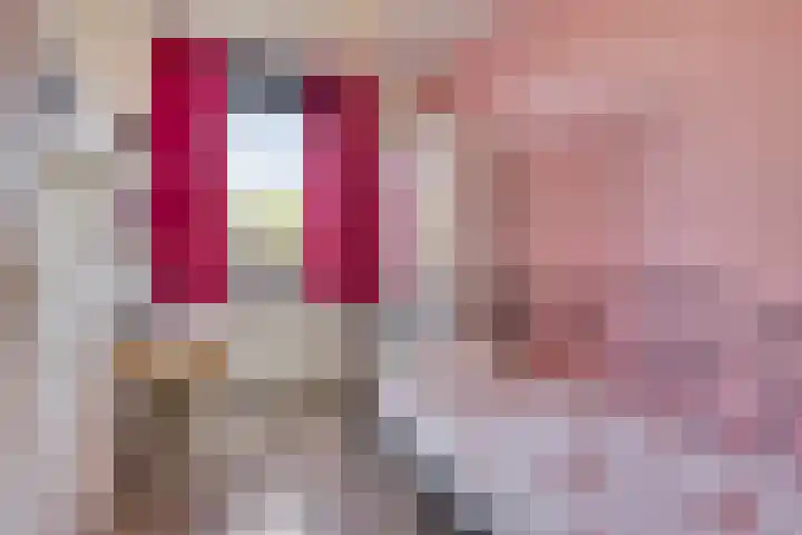 Hollands Hoenlaan 7 Barneveld thumbnail 20
