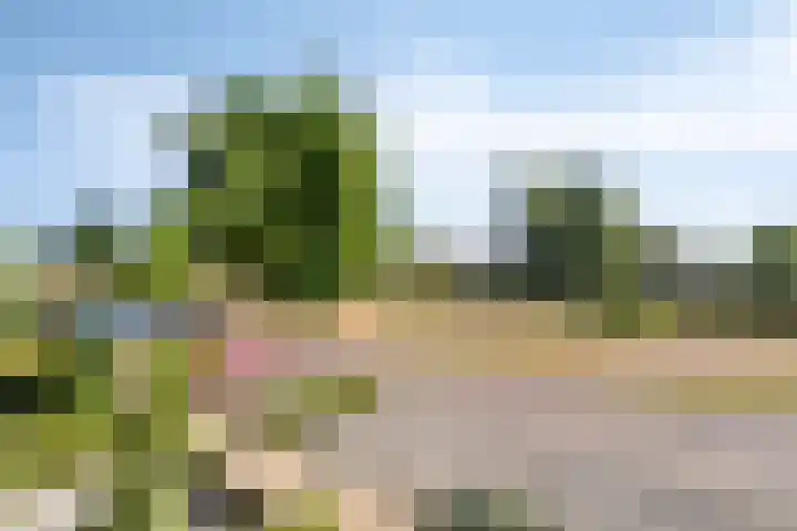 Hollands Hoenlaan 7 Barneveld thumbnail 23