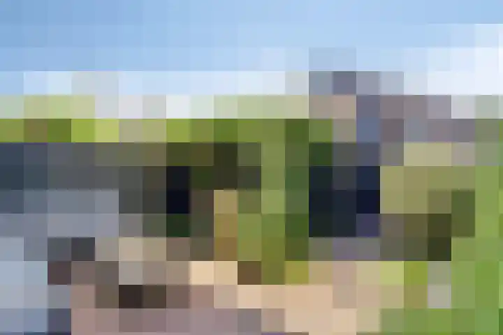 Hollands Hoenlaan 7 Barneveld thumbnail 28