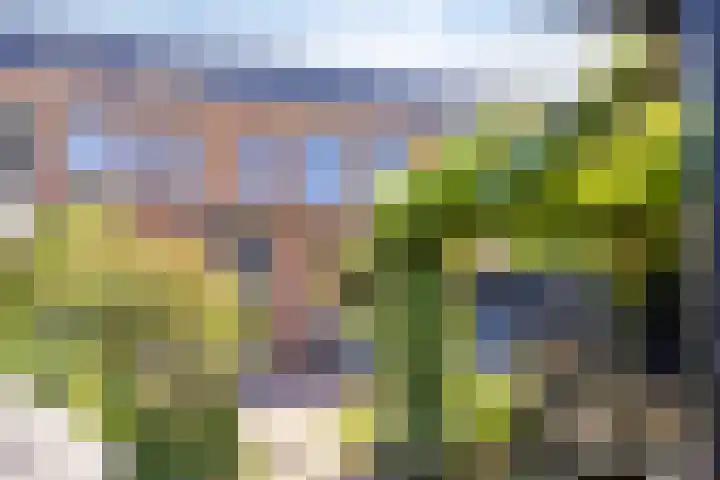 Hollands Hoenlaan 7 Barneveld thumbnail 30