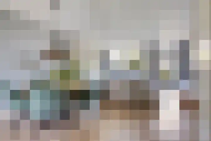 Hollands Hoenlaan 7 Barneveld thumbnail 6