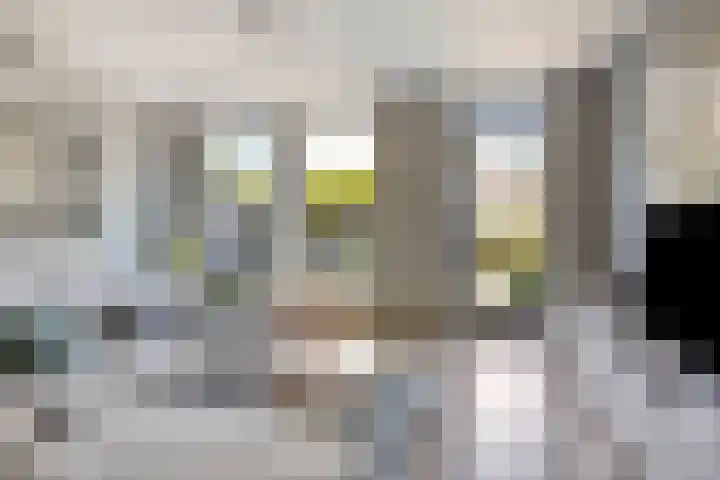 Hollands Hoenlaan 7 Barneveld thumbnail 7