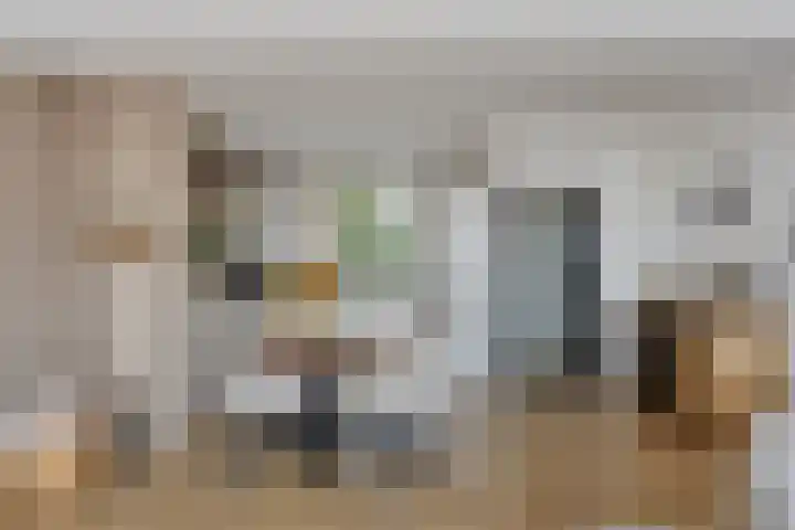 Hollandsch Diep 101 Zaandam thumbnail 12
