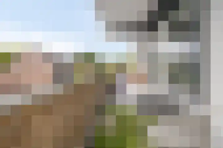 Hollandsch Diep 101 Zaandam thumbnail 15