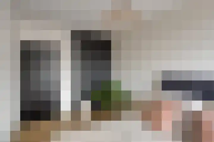 Hollandsch Diep 101 Zaandam thumbnail 18