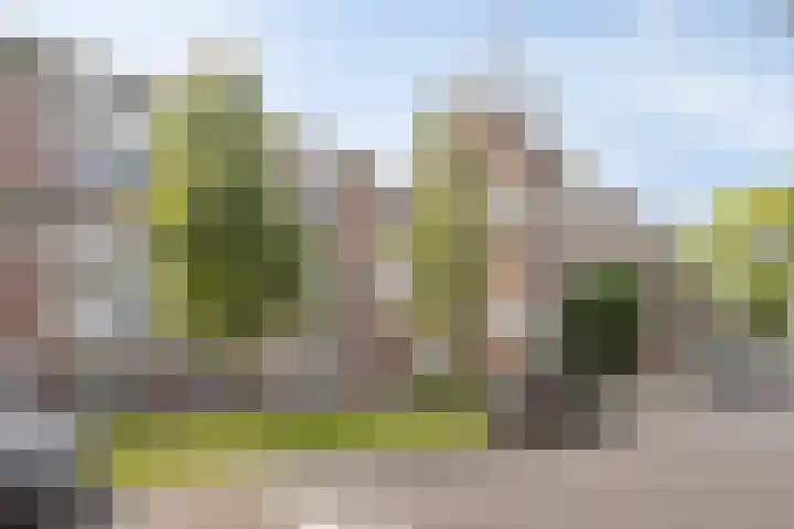 Hollandsch Diep 101 Zaandam thumbnail 22