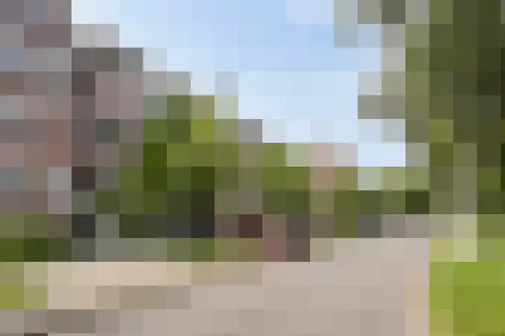 Hollandsch Diep 101 Zaandam thumbnail 23