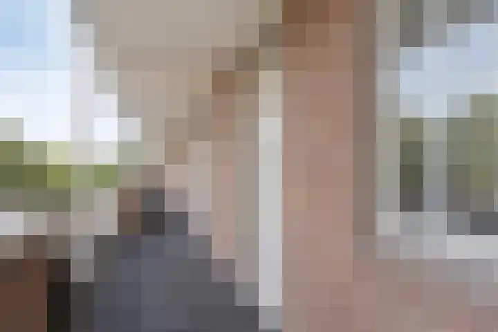 Hollandsch Diep 101 Zaandam thumbnail 6