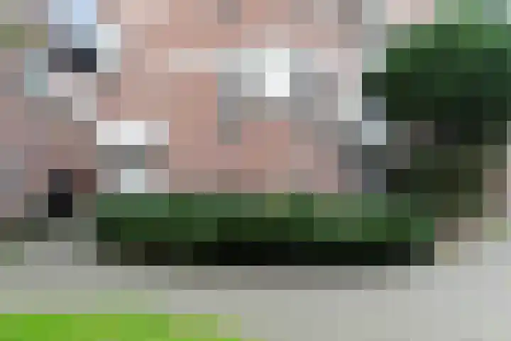 Hollandsch Diep 103 Zaandam thumbnail 10