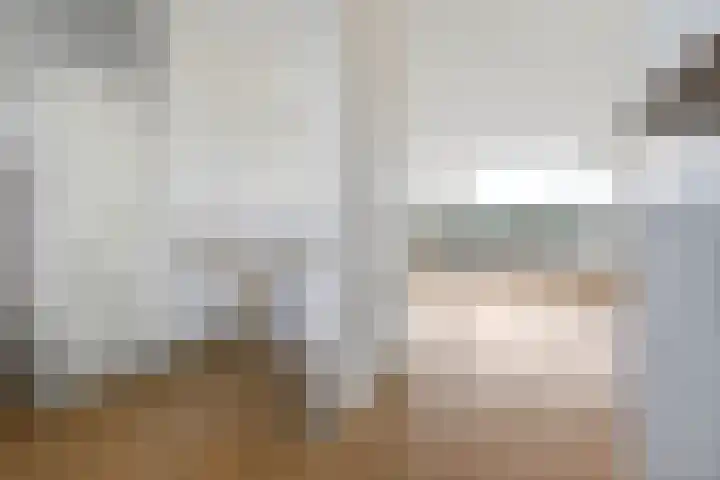 Hollandsch Diep 103 Zaandam thumbnail 16