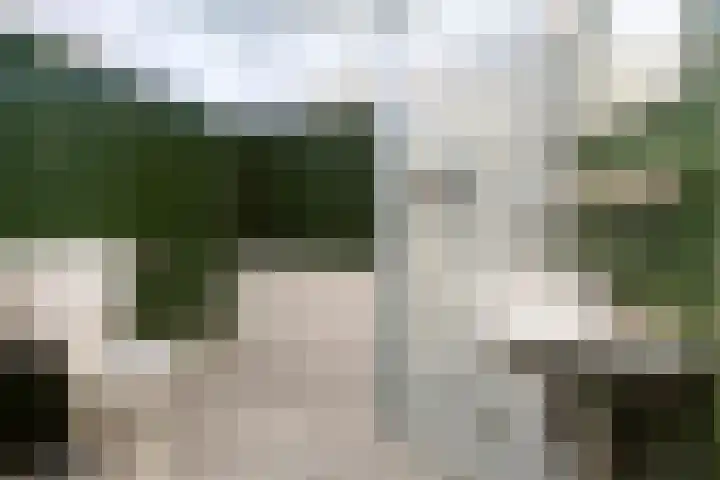 Hollandsch Diep 103 Zaandam thumbnail 26