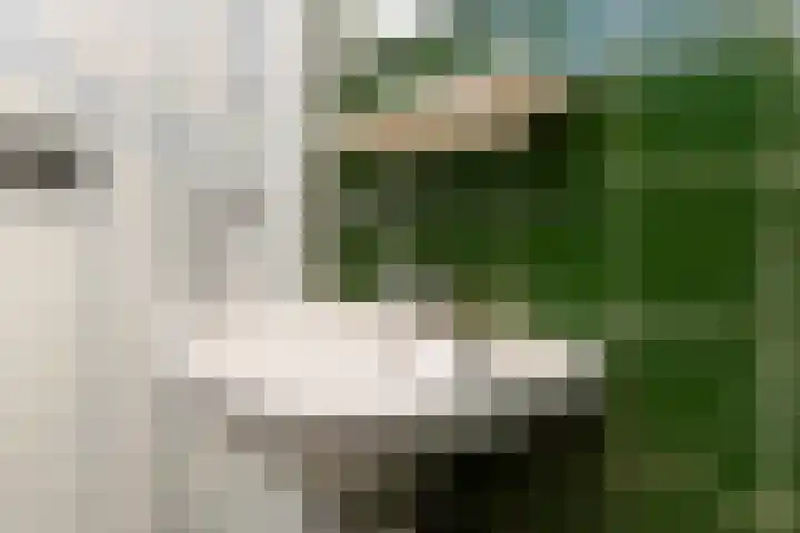 Hollandsch Diep 103 Zaandam thumbnail 27