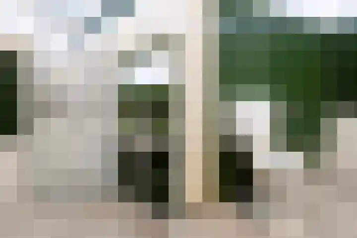 Hollandsch Diep 103 Zaandam thumbnail 29