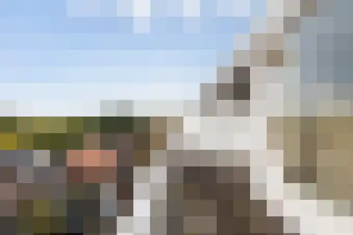 Hollandsch Diep 103 Zaandam thumbnail 30