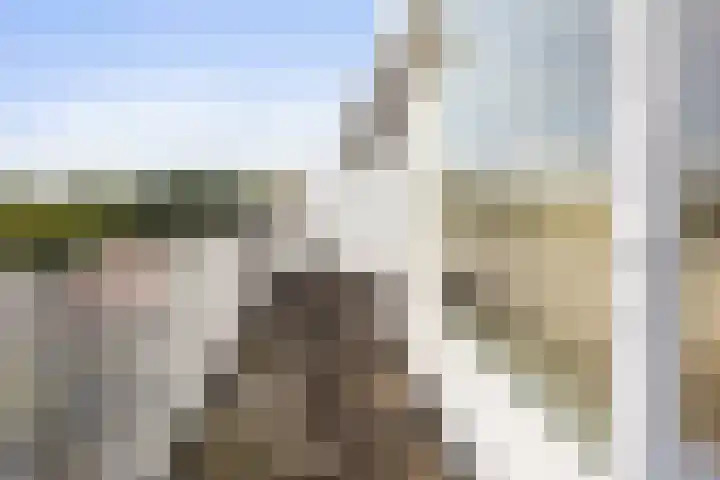 Hollandsch Diep 103 Zaandam thumbnail 31