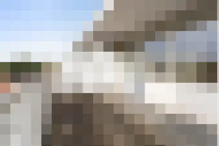 Hollandsch Diep 103 Zaandam thumbnail 34