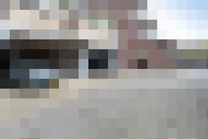 Hollandsch Diep 103 Zaandam thumbnail 39
