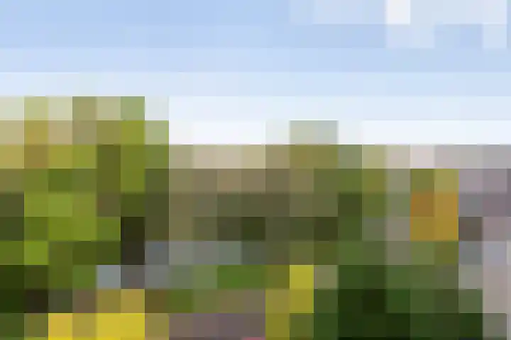 Hollandsch Diep 103 Zaandam thumbnail 8