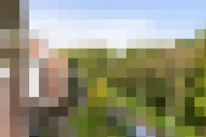 Hollandsch Diep 103 Zaandam thumbnail 9