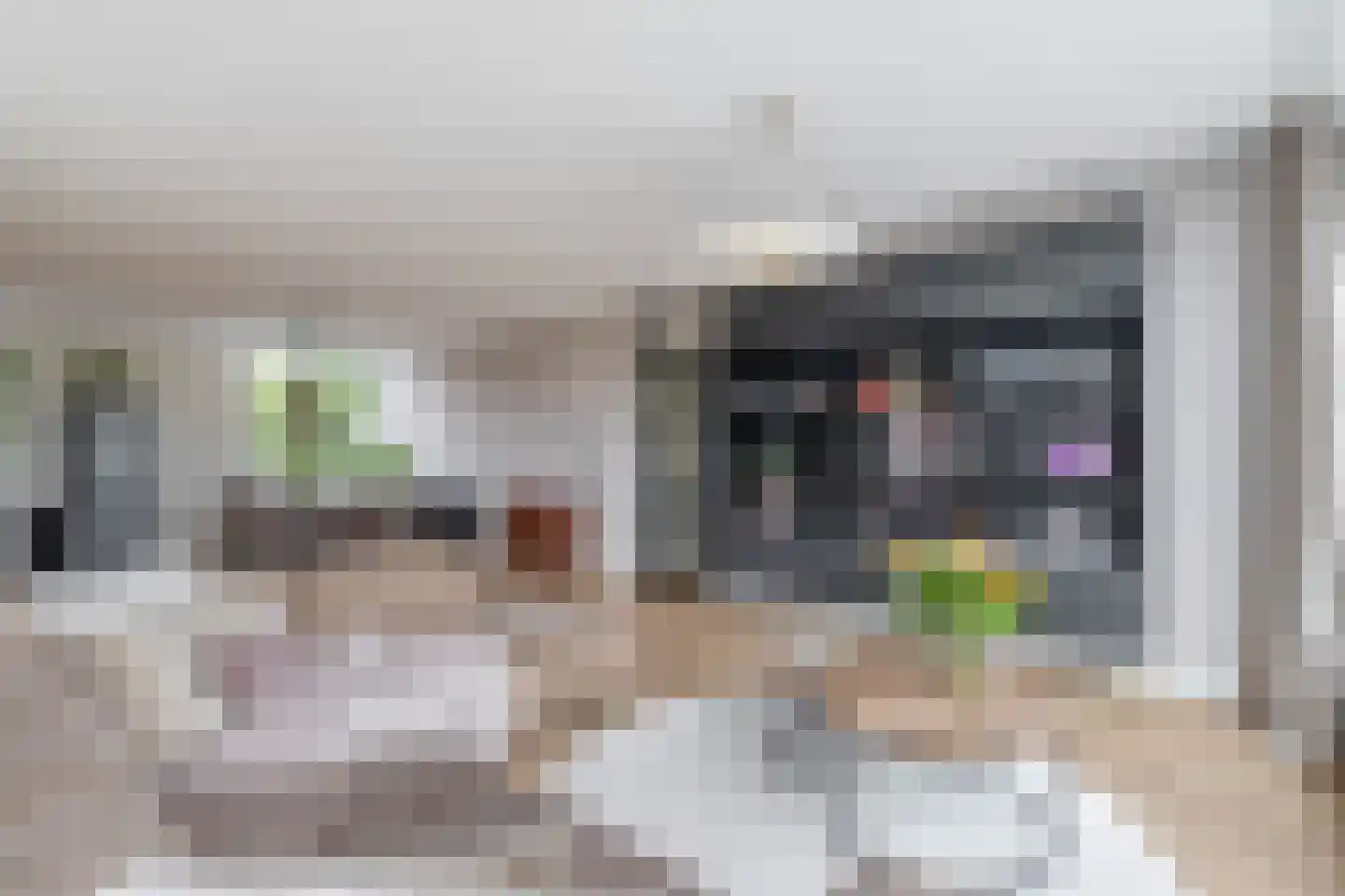 Hollandsch Diep 17 Zaandam thumbnail 13