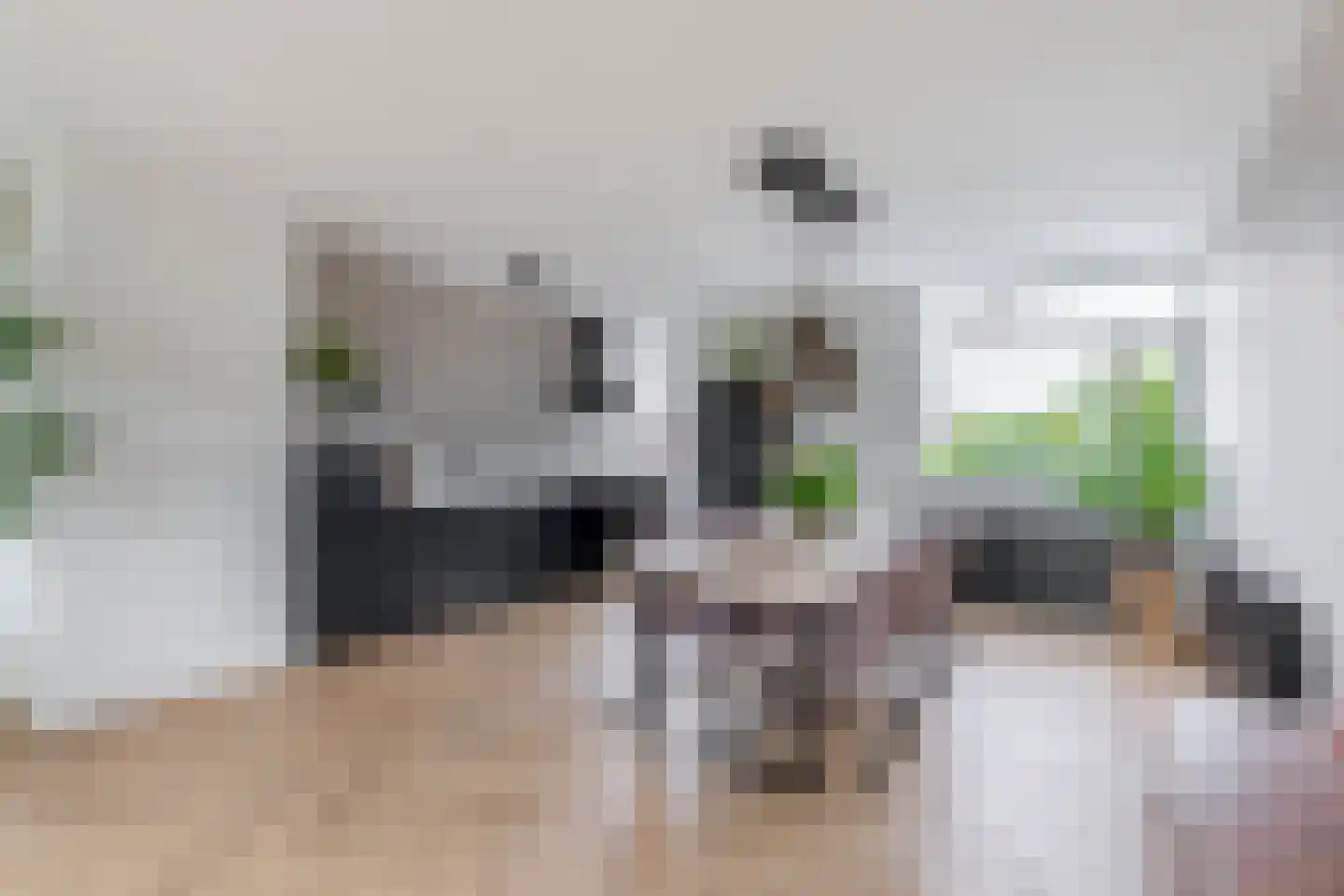 Hollandsch Diep 17 Zaandam thumbnail 15