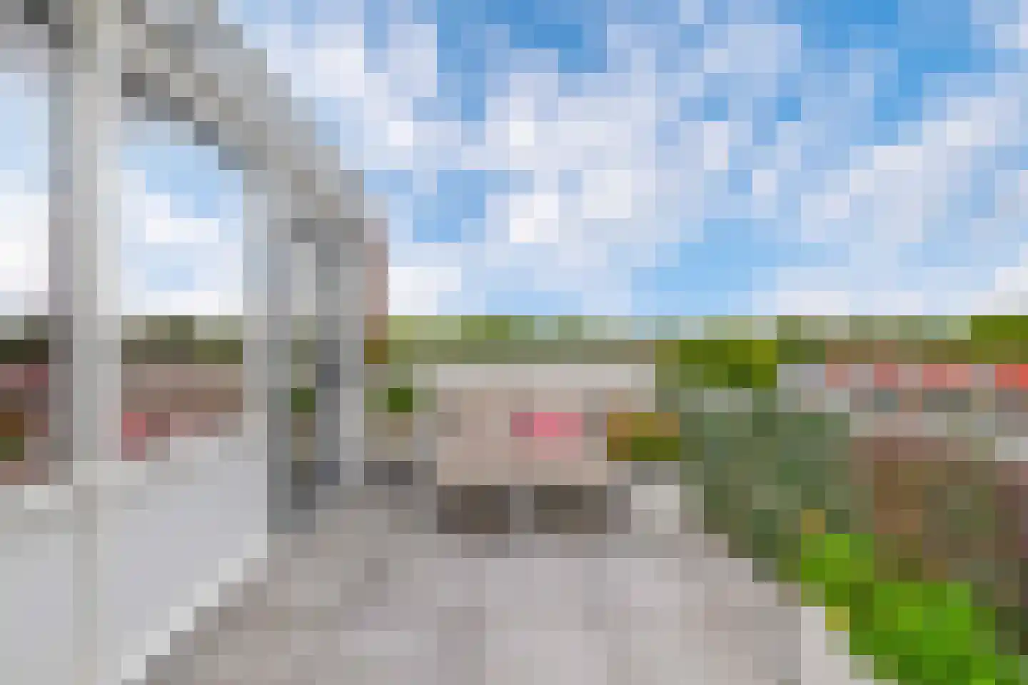 Hollandsch Diep 17 Zaandam thumbnail 27