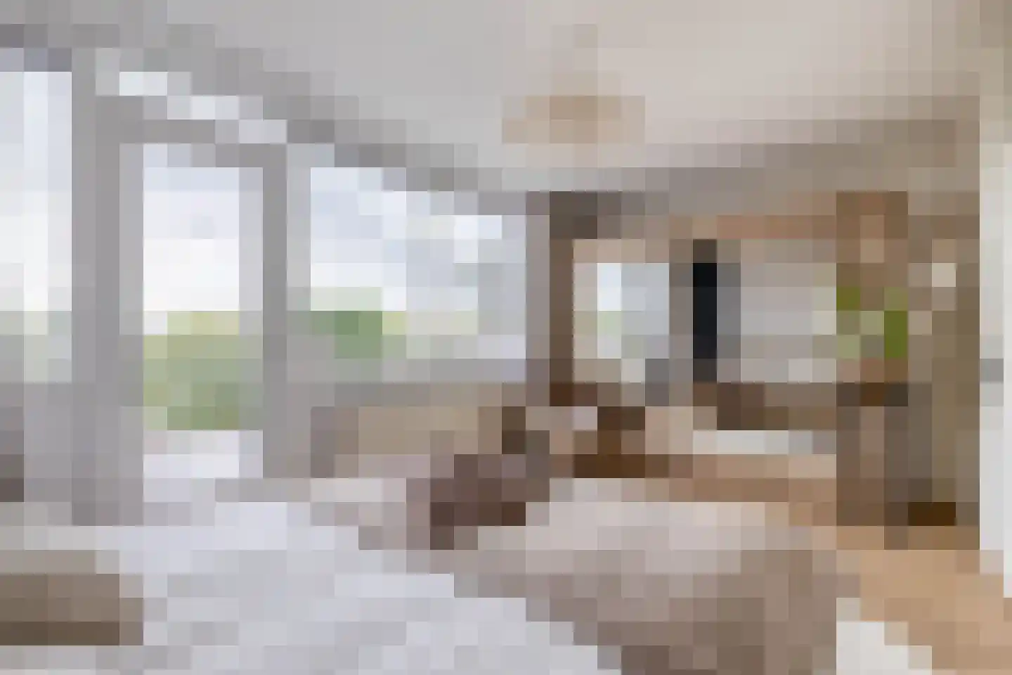 Hollandsch Diep 17 Zaandam thumbnail 31