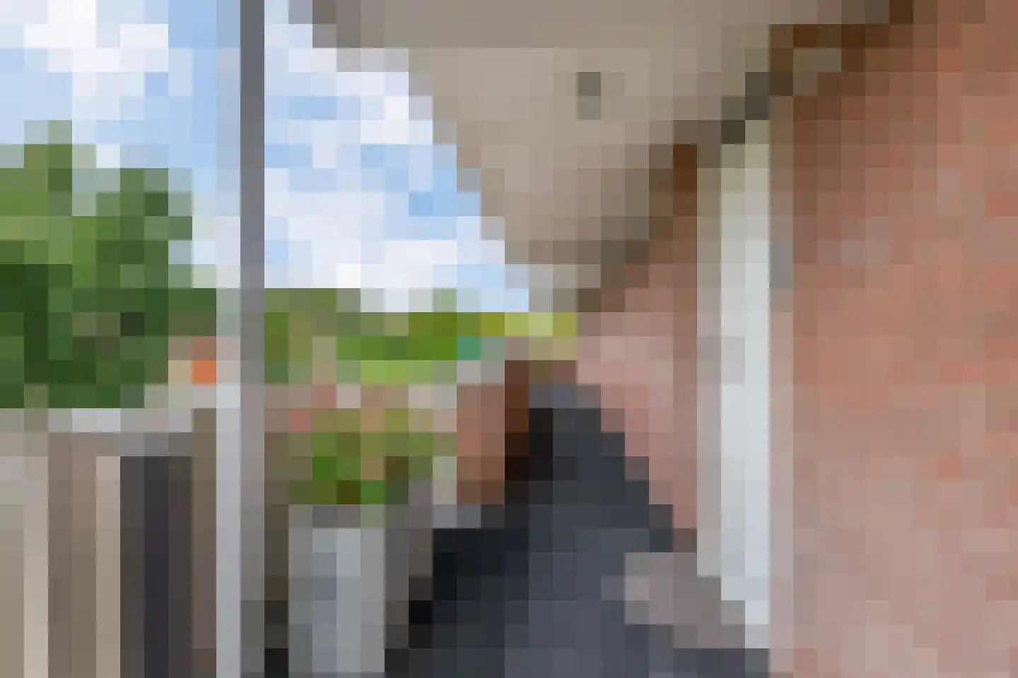 Hollandsch Diep 17 Zaandam thumbnail 5