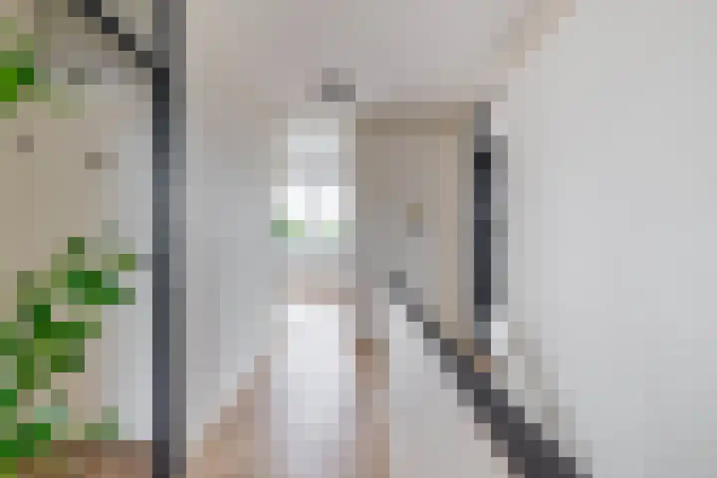 Hollandsch Diep 17 Zaandam thumbnail 9