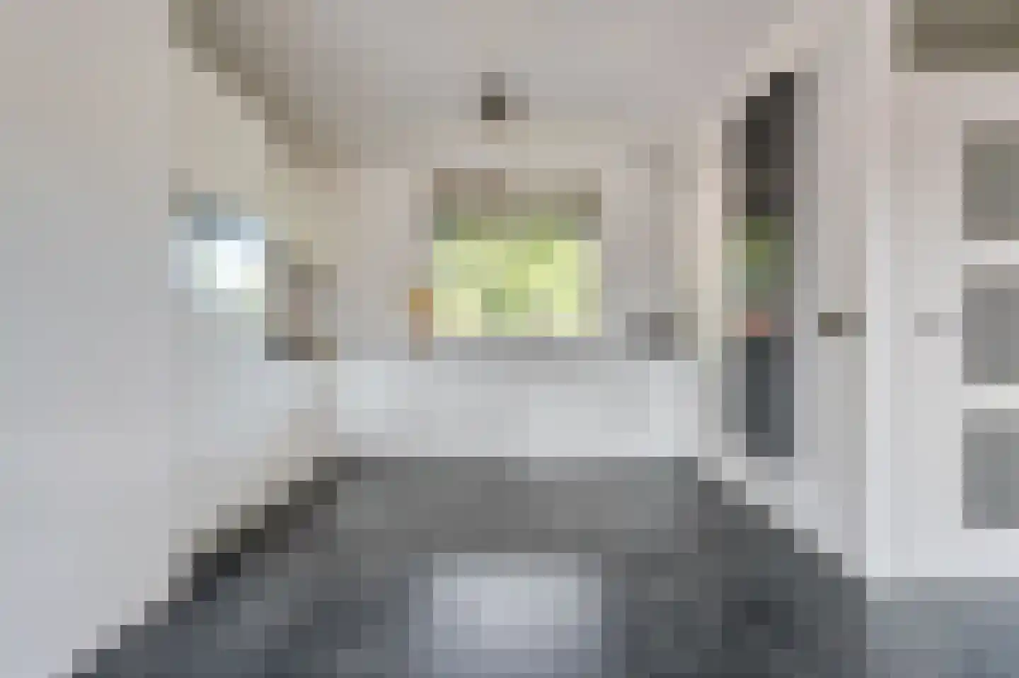 Hollandsch Diep 181 Zaandam thumbnail 13