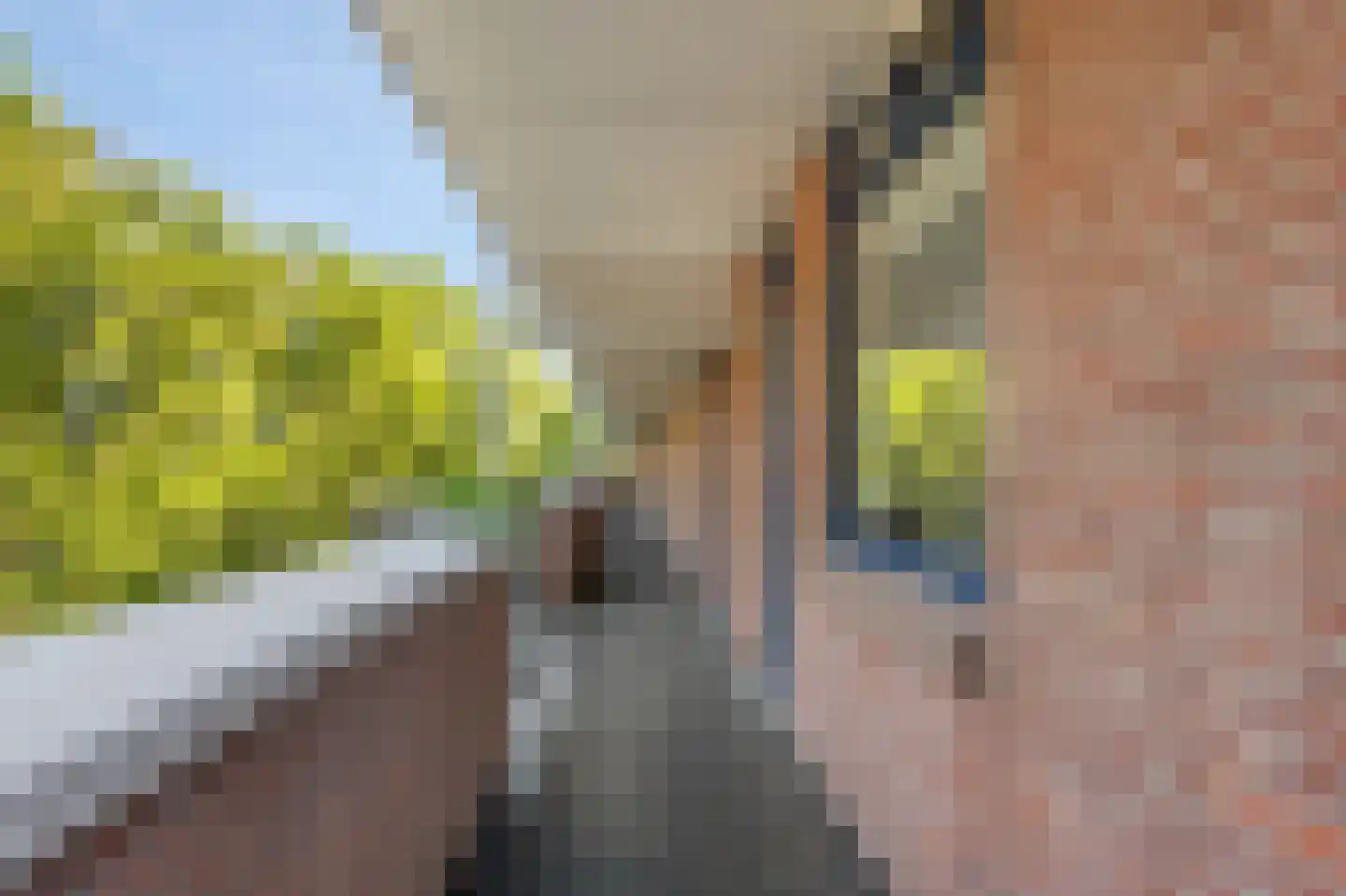 Hollandsch Diep 181 Zaandam thumbnail 6