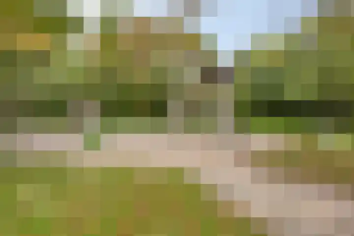 Hollandsch Diep 189 Zaandam thumbnail 27
