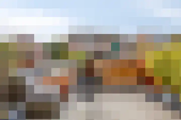Hollandsch Diep 189 Zaandam thumbnail 7